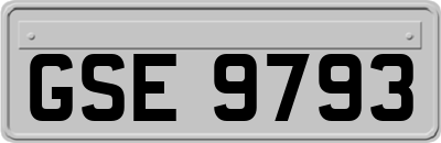 GSE9793