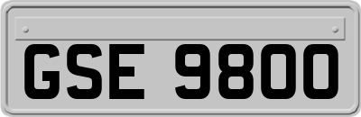 GSE9800