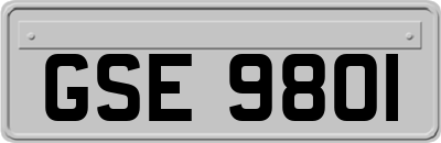 GSE9801