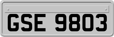 GSE9803