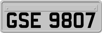 GSE9807