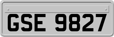 GSE9827
