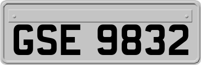 GSE9832