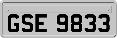 GSE9833