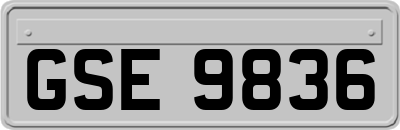 GSE9836