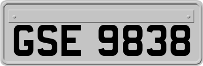 GSE9838