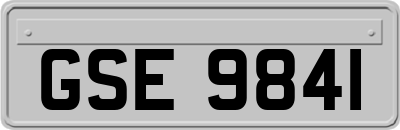 GSE9841