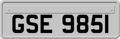 GSE9851