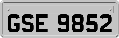 GSE9852
