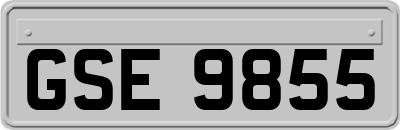GSE9855