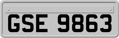 GSE9863