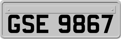 GSE9867