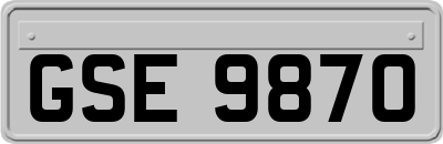 GSE9870
