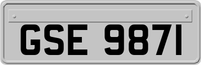 GSE9871