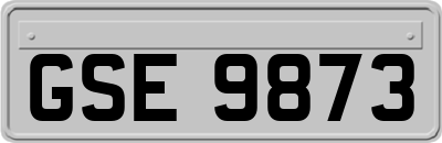 GSE9873