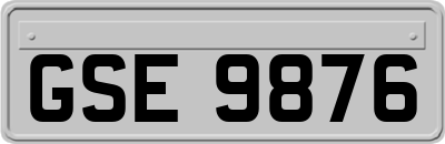 GSE9876