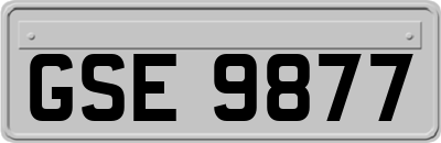 GSE9877