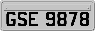 GSE9878