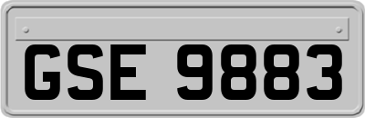 GSE9883