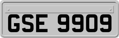GSE9909