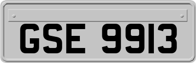 GSE9913