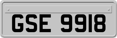 GSE9918