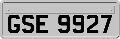 GSE9927