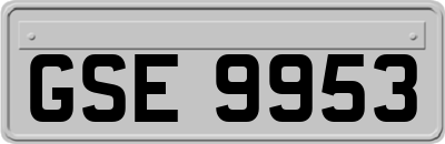 GSE9953