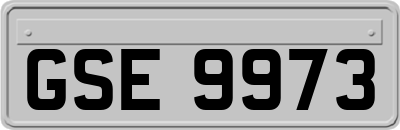 GSE9973