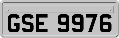 GSE9976