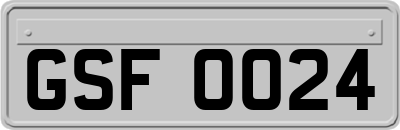 GSF0024