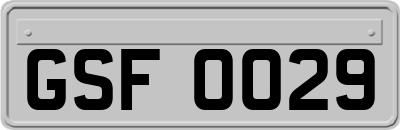 GSF0029
