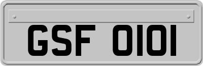 GSF0101