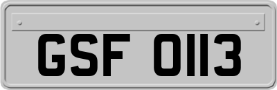 GSF0113