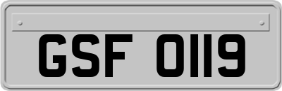 GSF0119