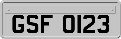 GSF0123