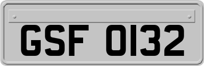 GSF0132
