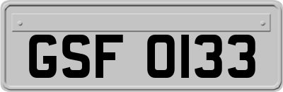 GSF0133