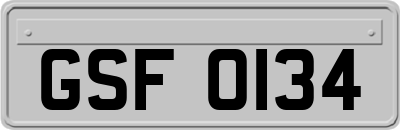 GSF0134