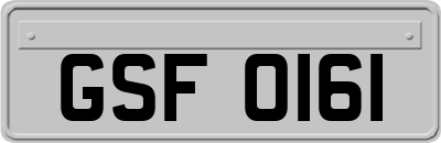 GSF0161