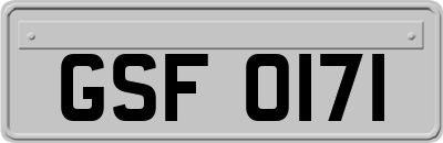 GSF0171
