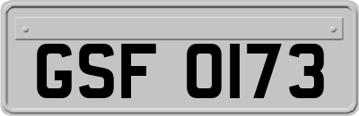 GSF0173