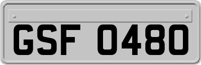 GSF0480