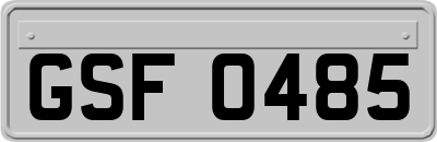 GSF0485