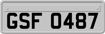 GSF0487