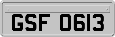 GSF0613