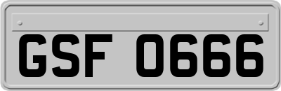GSF0666
