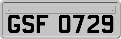 GSF0729