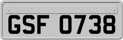 GSF0738