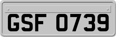 GSF0739